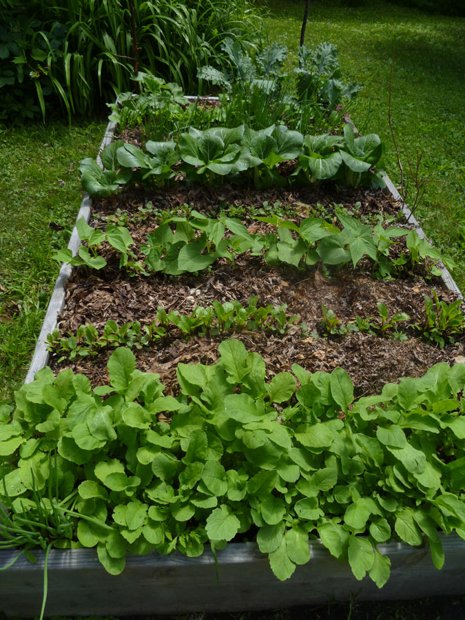 St. James Garden