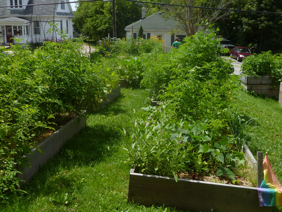 St James Community Garden