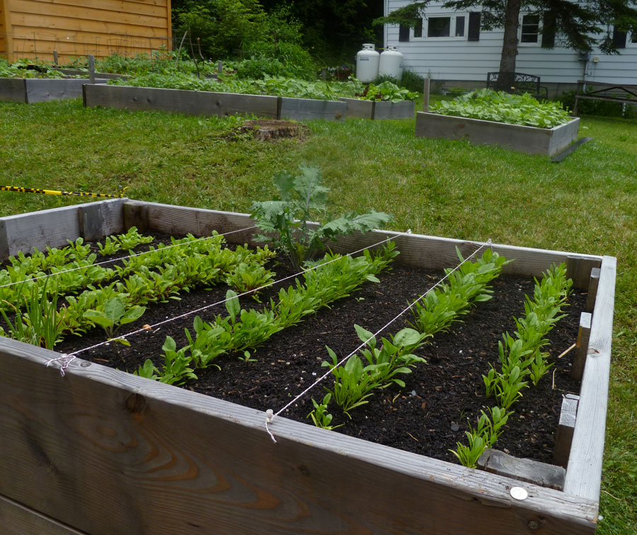 St. James Garden