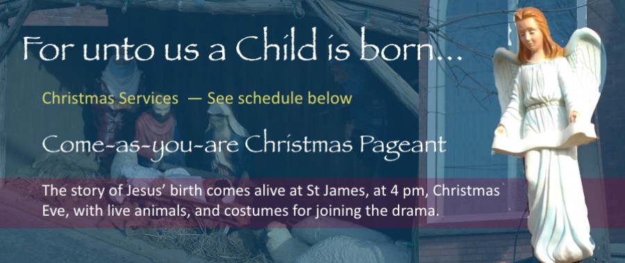 christmas banner 2019 funky-1