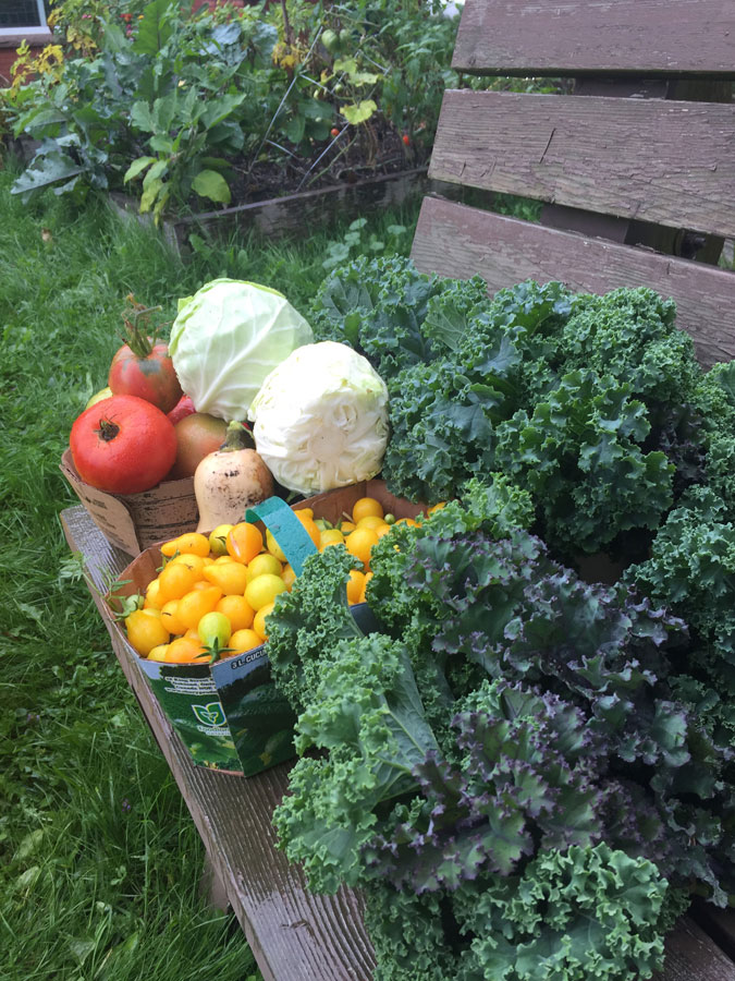 Community Garden
