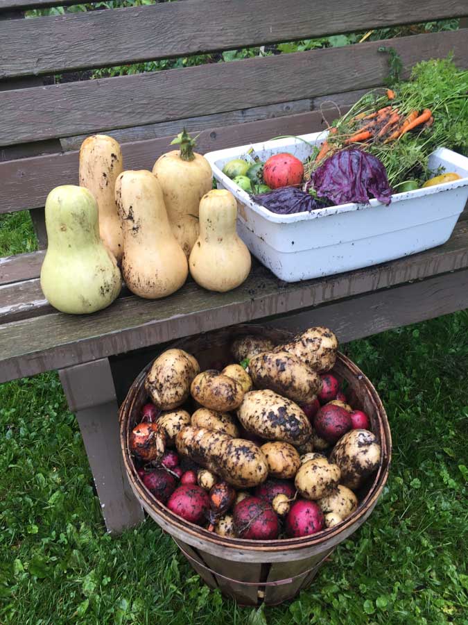 Thanksgiving Harvest